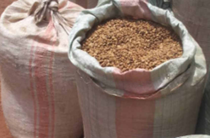 Contrebande déjouée à Ngozi : 50 kilos de café saisis par la police